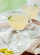 cucumber mint gimlet recipe