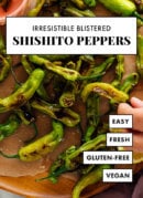 irresistible blistered shishito peppers