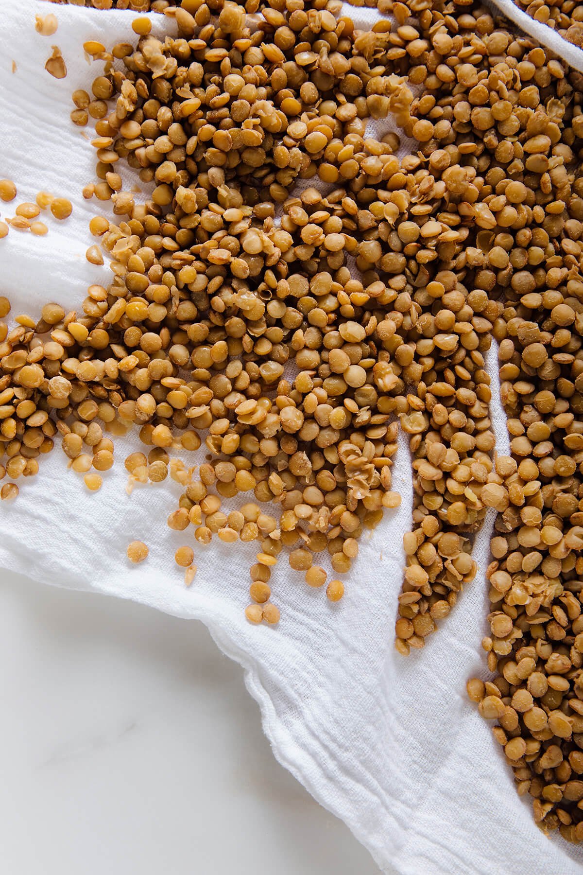 towel-dried lentils